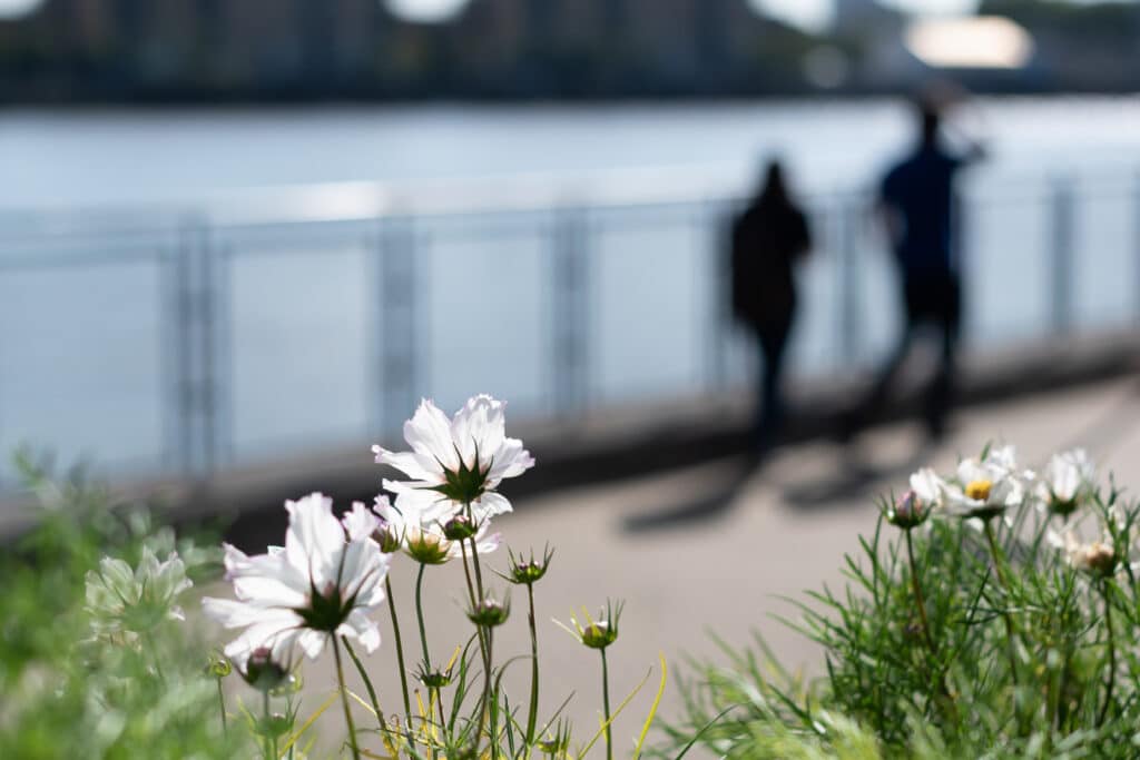 The Essential Guide to Aftercare in Addiction Treatment: Your Key to Long-Term Recovery
