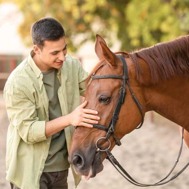 Equine Therapy in Addiction Treatment: Healing Through Horse-Assisted Activities
