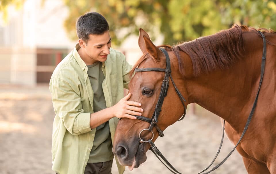 Equine Therapy in Addiction Treatment: Healing Through Horse-Assisted Activities